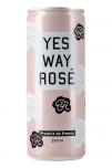 Yes Way Rose 0