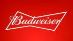 Anheuser Busch - Budweiser 12pk 16oz Aluminum Bottles 0