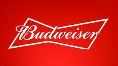 Anheuser Busch - Budweiser 12pk 16oz Aluminum Bottles